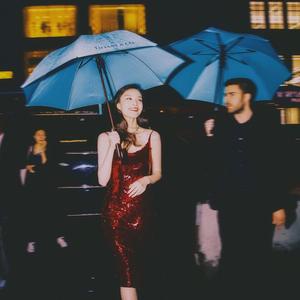 草莓污污污视频
